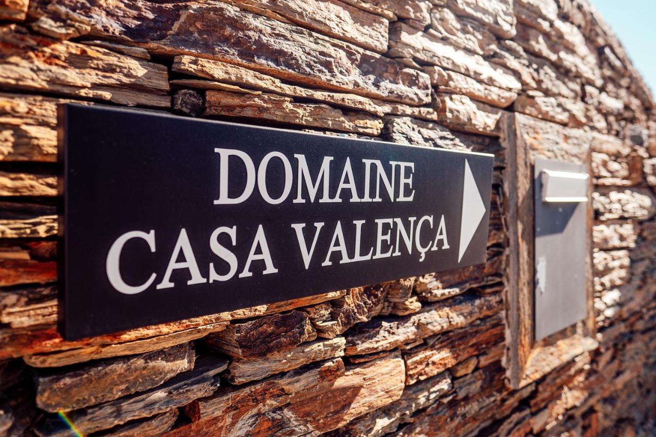 Casa Com Piscina No Coracao Do Douro - Domaine Casa Valenca, Villa Valenca do Douro Ngoại thất bức ảnh