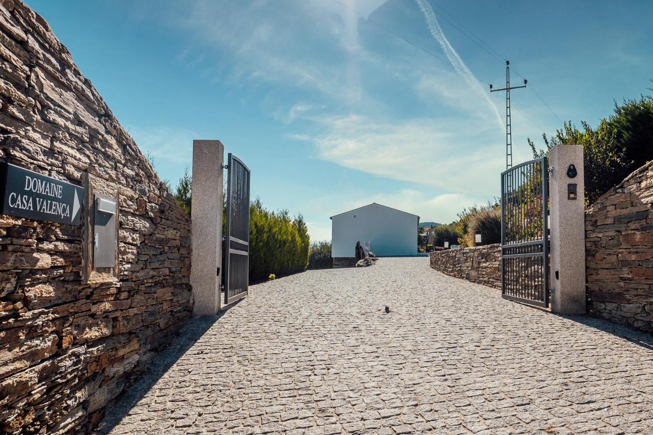 Casa Com Piscina No Coracao Do Douro - Domaine Casa Valenca, Villa Valenca do Douro Ngoại thất bức ảnh