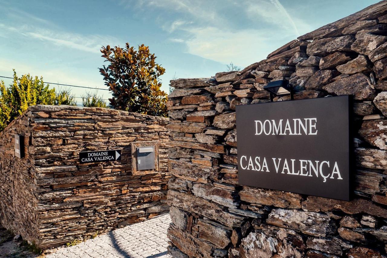 Casa Com Piscina No Coracao Do Douro - Domaine Casa Valenca, Villa Valenca do Douro Ngoại thất bức ảnh