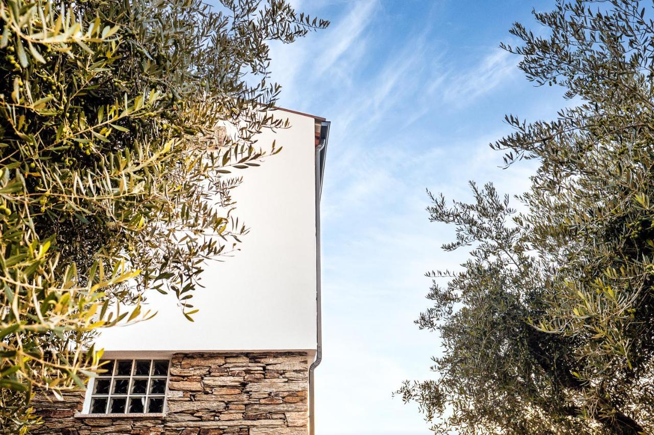 Casa Com Piscina No Coracao Do Douro - Domaine Casa Valenca, Villa Valenca do Douro Ngoại thất bức ảnh