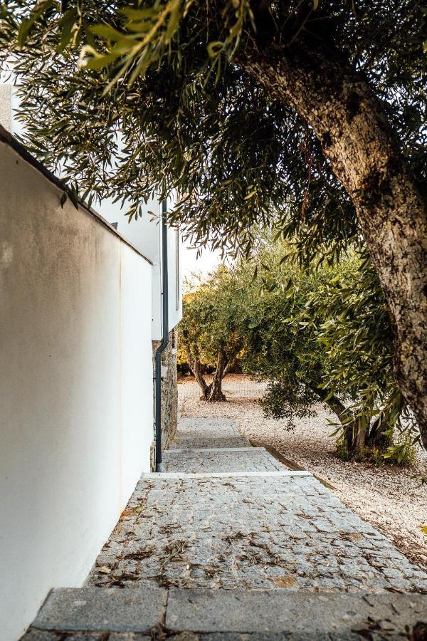 Casa Com Piscina No Coracao Do Douro - Domaine Casa Valenca, Villa Valenca do Douro Ngoại thất bức ảnh